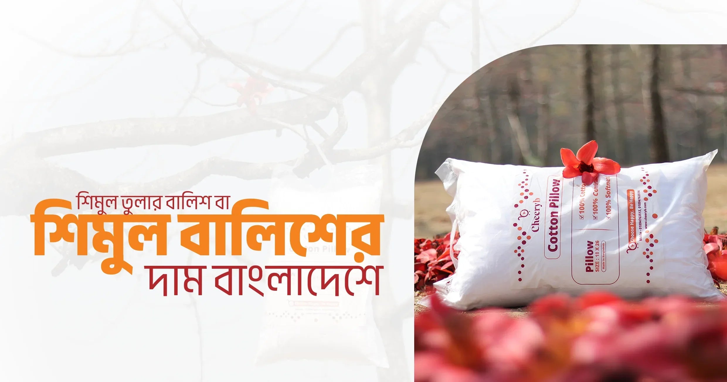 CheeryB – শিমুল তুলার বালিশ বা শিমুল বালিশের দাম বাংলাদেশে