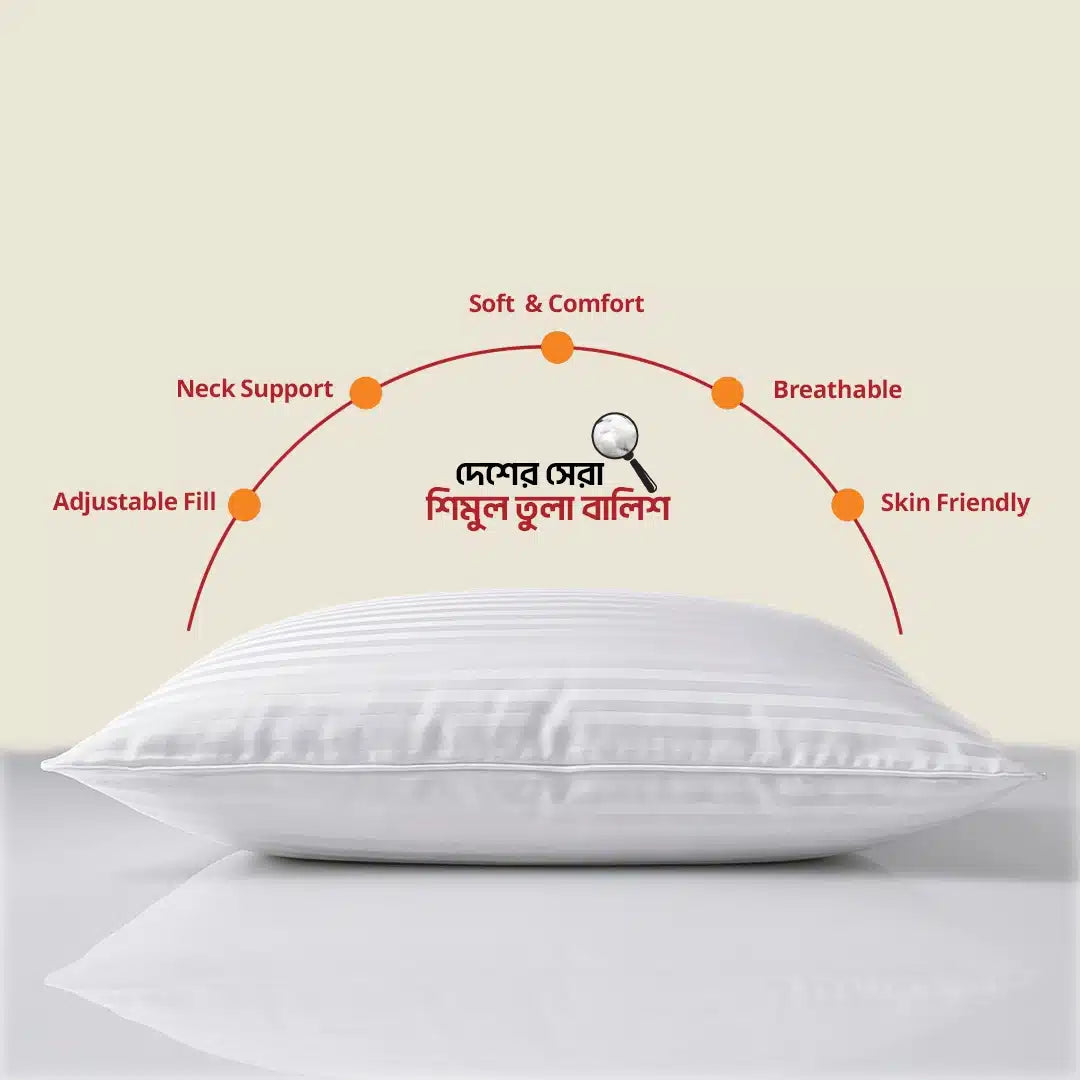 ২টি হেড পিলো